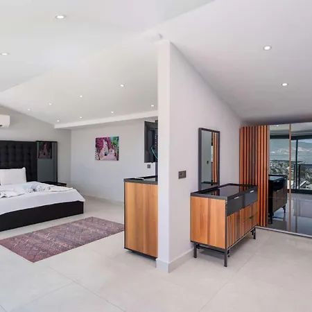 Lux With Seaview And Jacuzzi Villa